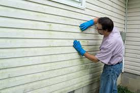 Storm Damage Siding Repair in Clarion, IA